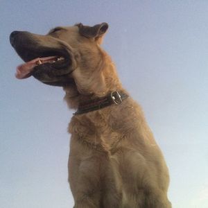 Meet your Posher, Maureen